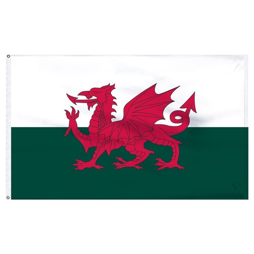5x8 wales welsh dragon flag - 5x8,